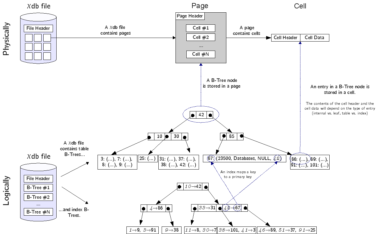 Physical and logical file organization