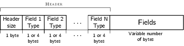 Database record format