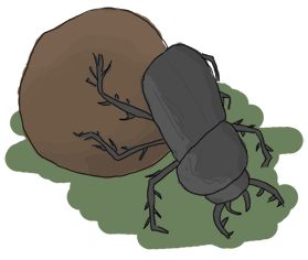 A dung beetle pushing its crap